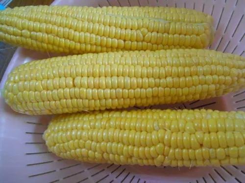 dscn7217