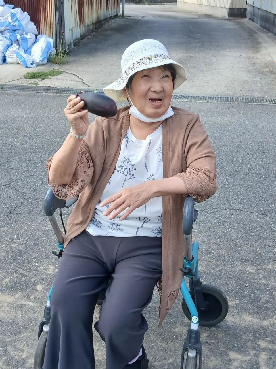 はつがの畑で採れました！新鮮野菜をどうぞ。