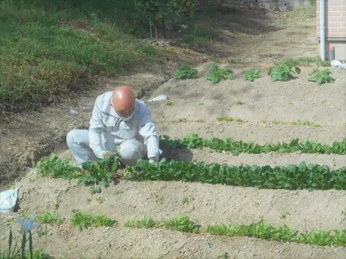 %e8%aa%bf%e7%90%86%e6%89%8b%e4%bc%9d%e3%81%84%e2%91%a1