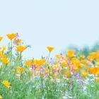 デイサービスはつが